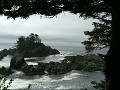 Beach in Tofino
