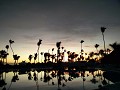 PHOTO 20171127 063139-2080x1560
