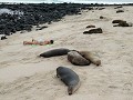 Strand La Loberia San Christobal