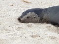 Schattig toch...