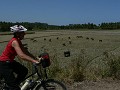 ONDERWEG - DROGE SEIZOEN = MINDER GROEN MAAR TOCH 