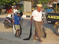 LABUAN BAJO - MOEDER ZAL VISKES BAKKEN
