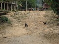img_2846