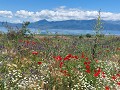 Prespa meer