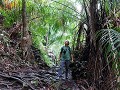 Jungle wandeling Bako-national-park 