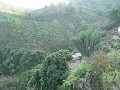 P1060214