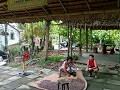 Cacao farm Can Tho