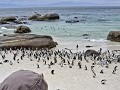Simons town