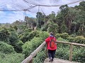 Birds of Eden - grootste vogelkooi ter wereld waar