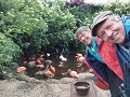 Birds of Eden - grootste vogelkooi ter wereld waar