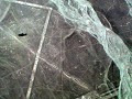 Vliegtuigsilhouet naast de walvisfiguur, Nazca, Pe