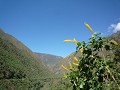 8-daagse-trekking-choquequirao-machu-picchu-2007355323