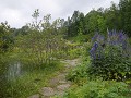 P3700068
