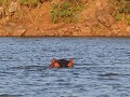 Lake Tana, aan de bron van de Blauwe Nijl vind je 