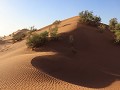 de-woestijn-in-vanuit-m-hamid-0512321673