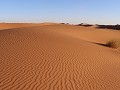 de-woestijn-in-vanuit-m-hamid-0512400360