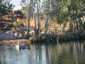 De zwempoel nabij Manning Gorge.