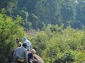 Samen de olifanten naar de jungle brengen waar ze 