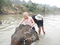 De olifanten wassen!