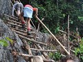 Af en toe een bamboo-ladder
