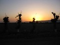 Sunset near Khodjand