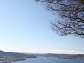 Zicht over Bergen