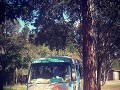 Bimbin bus tour