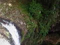waterfalls Nimbin