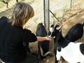 Rosalba and I fed the goats when we made wine at h