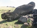 Omgevallen of omgeduwde Moai...