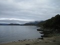 Vuurland - Nationaal Park Tierra del Fuego (1)