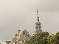 IMG 9555