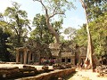 Ta Prohm, Siem Reap.