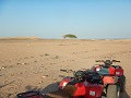 Quad in woestijn. Marsa Alam.