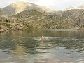 IMG 6654