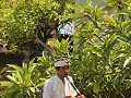 Optocht nabij Padang Bay, Bali.