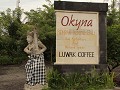 Luwak Coffee.