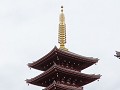 IMG 0017