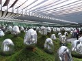 IMG 0056