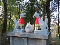 IMG 0248