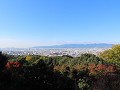 IMG 0253