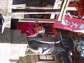 IMG 0257
