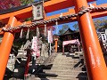 IMG 0259