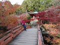 IMG 0288