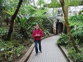 IMG 0344