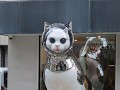 IMG 0157