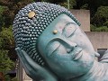 IMG 0170