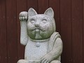 IMG 0176