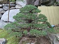 IMG 0205