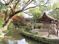 IMG 0216